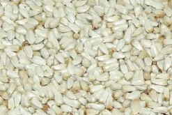 Premium Bird Seed Safflower Seed 3kg