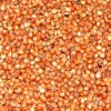 Premium Bird Seed Sorghum Milo 3kg