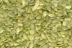 Premium Bird Treats Dried Pepitas 300g