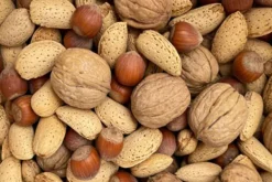 Premium Bird Treats Mixed Nuts in Shells