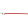 Prestige Cat & Puppy Leash 3/8" x 4' (122cm) Red