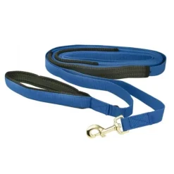 Prestige Flat Nylon Dog Recall Lead 1" x 7m Blue