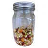 RAW For Birds Sprouting Jar with Mesh Lid