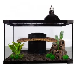 Reptile One Turtle Nursery Kit - CLICK & COLLECT ONLY