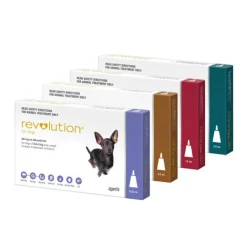 Revolution for Dogs SALE 15% OFF!