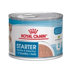Royal Canin Mother & BABYDOG Mousse