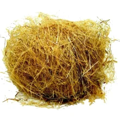 Swamp Grass Nesting Material
